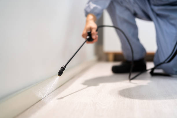 Licensed Fumigation Services service in Castle Rock, CO - Nex Pest Control