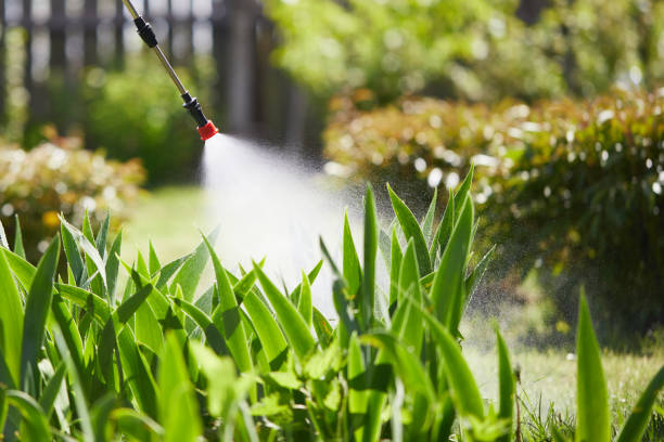 24/7 Emergency Fumigation Services experts in Castle Rock, CO