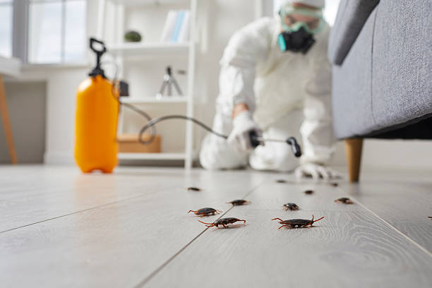 Trusted Fumigation Services service in Castle Rock, CO - Nex Pest Control